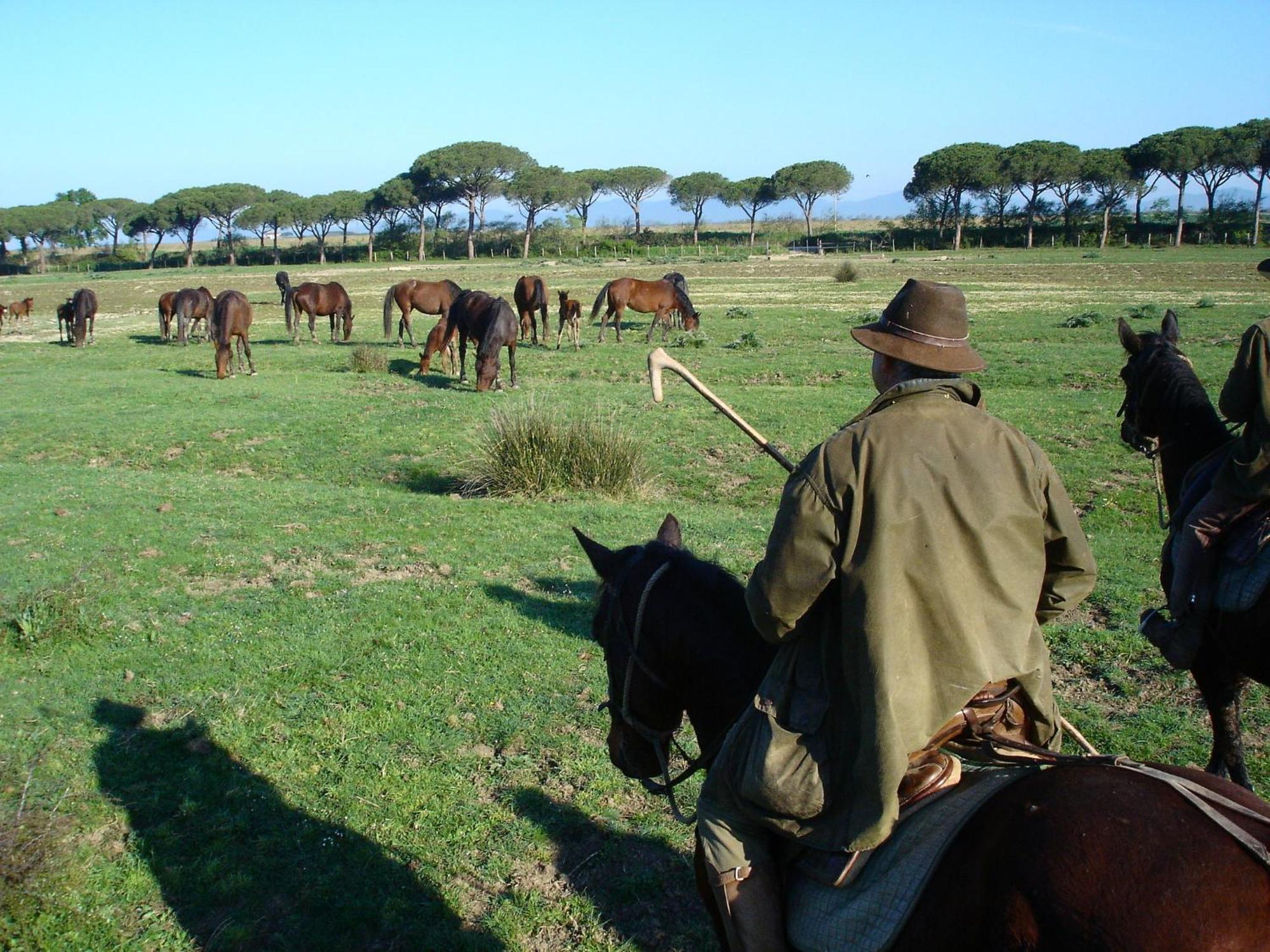 Agriturismo Biologico Sant'Egle San Quirico エクステリア 写真