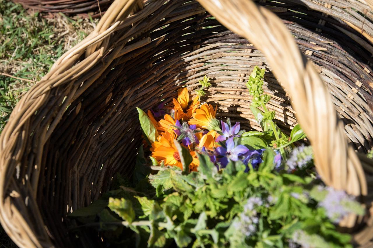 Agriturismo Biologico Sant'Egle San Quirico エクステリア 写真