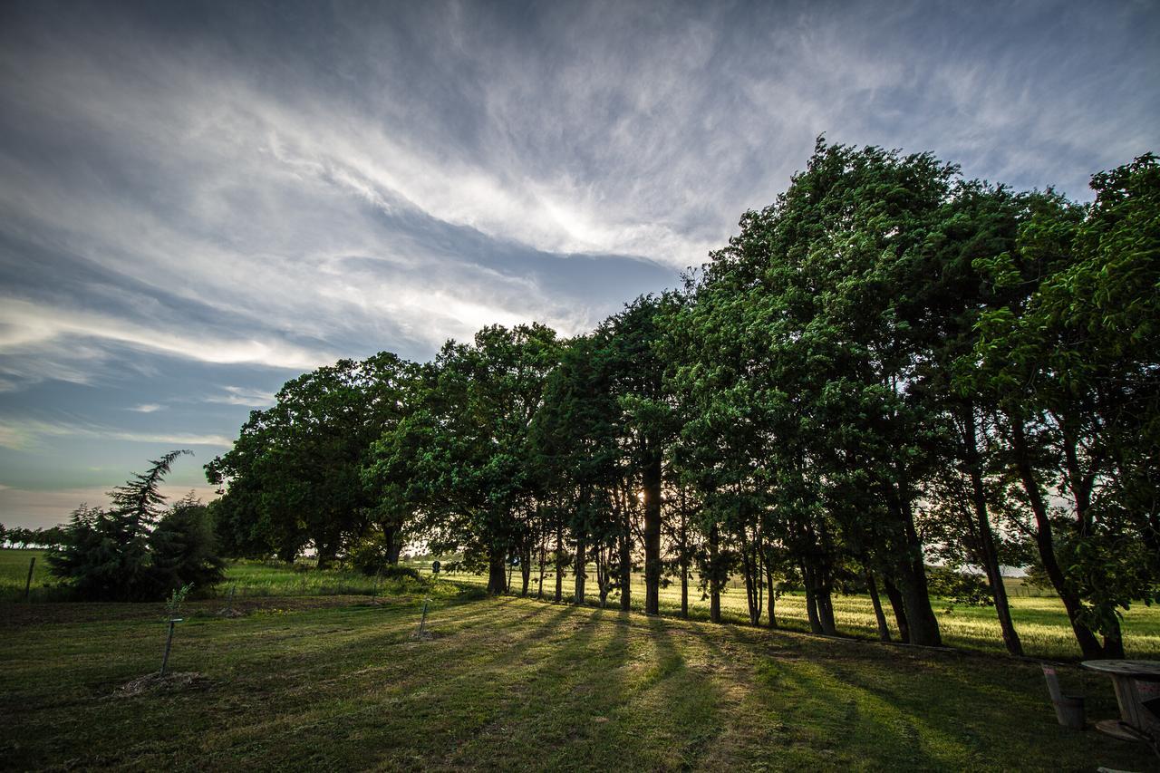 Agriturismo Biologico Sant'Egle San Quirico エクステリア 写真